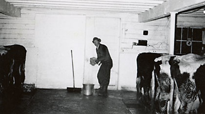 kenmilkingbarn.jpg