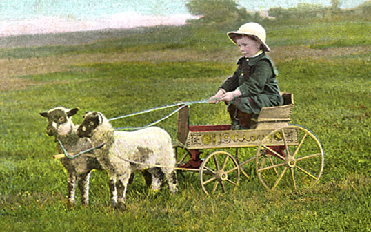 sheepcarriage.jpg